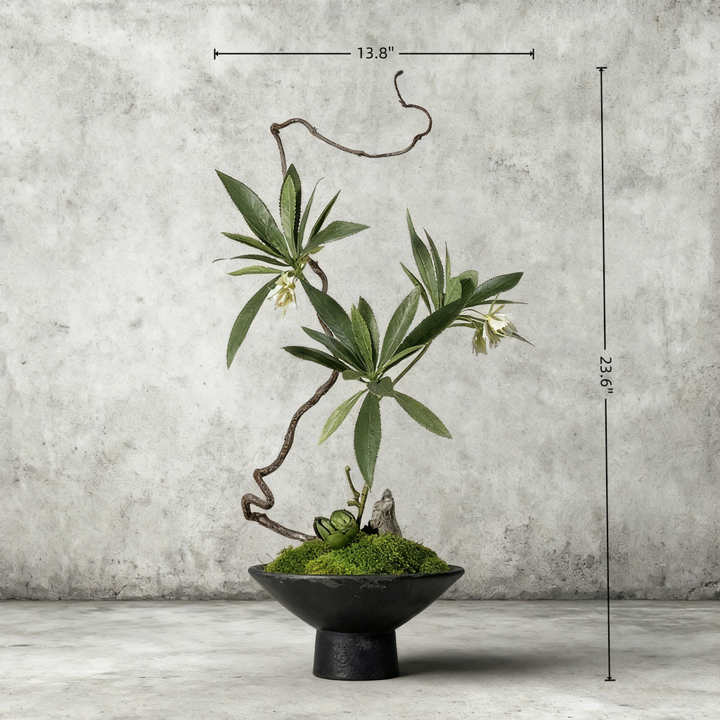 Handmade Preserved Moss Bonsai With Natural Wood Branch Arrangement with Ceramic Vase. Zen Decor for Home & Office, Indoor Plant Gift