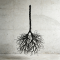Handmade Preserved Wood Branch Hanging Art Piece, Hotel Lobby Decor