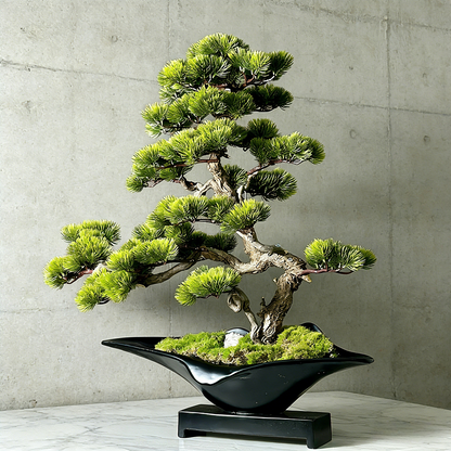 Handmade Bonsai Tree Art With Natural Wood, Zen Style Home Or Commercial Decoration