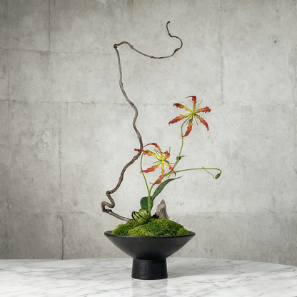 Handmade Preserved Moss Bonsai With Natural Wood Branch Arrangement with Ceramic Vase. Zen Decor for Home & Office, Indoor Plant Gift